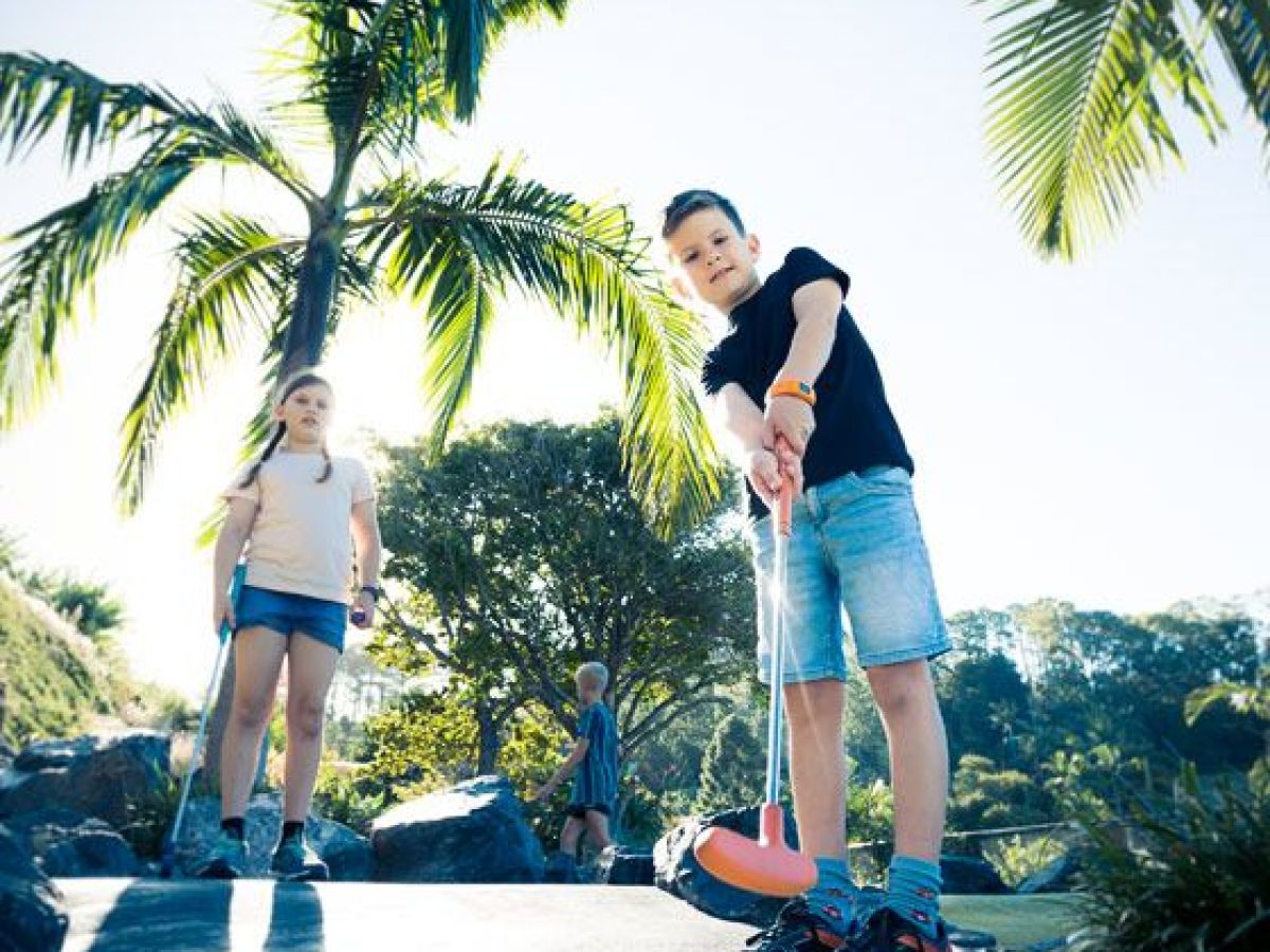 a man riding a skateboard next to a palm tree