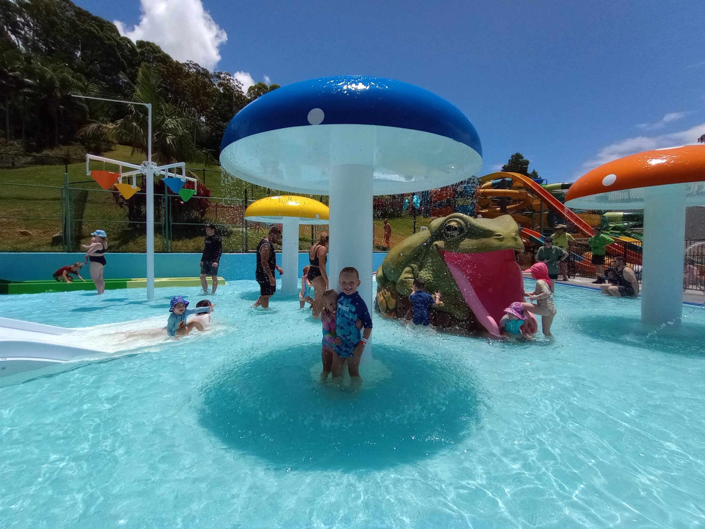 a group of people swimming in a pool of water