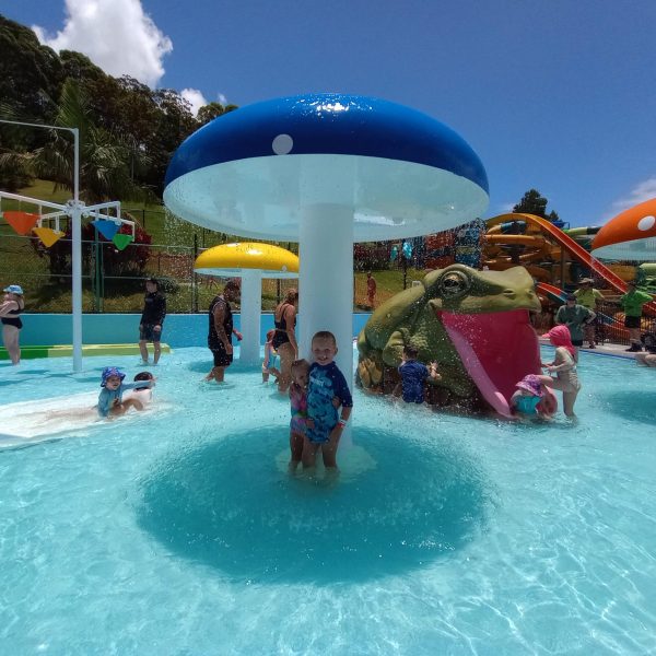 a group of people swimming in a pool of water