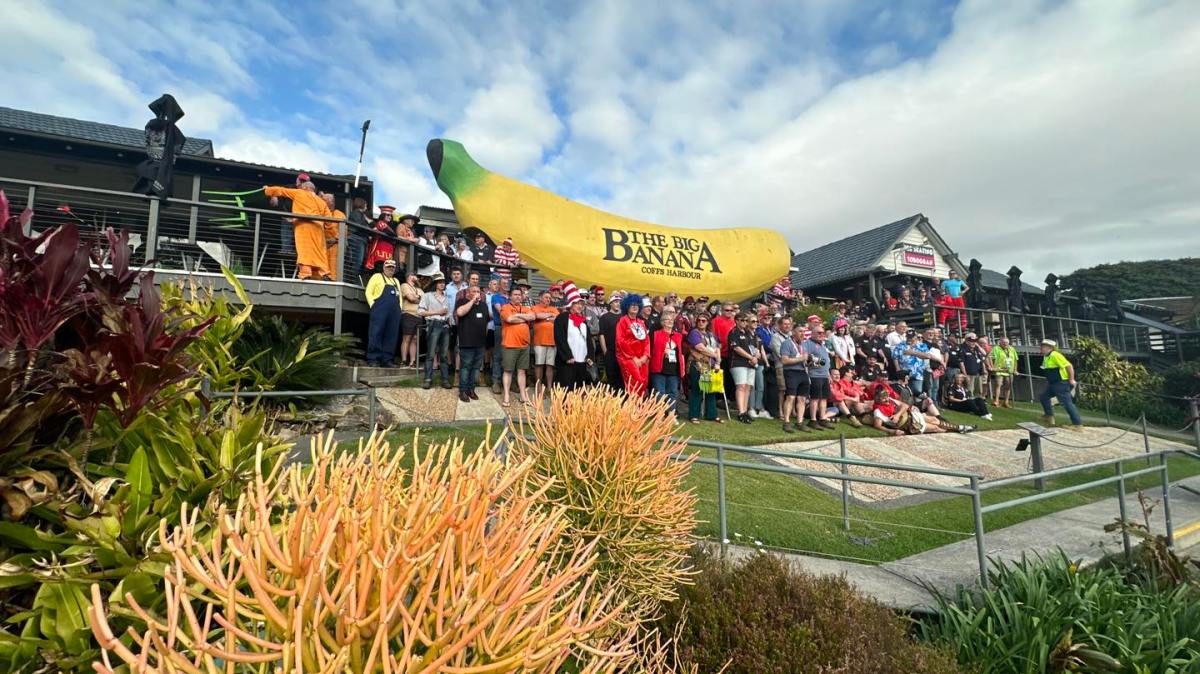 a group of people standing in the grass