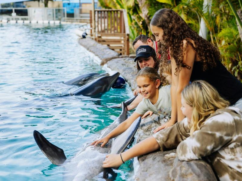 People interacting with dolphins at a poolside in a marine park.