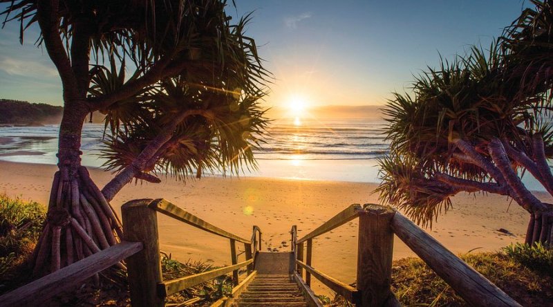 Wooden steps leading to a beach at sunrise, flanked by palm trees.