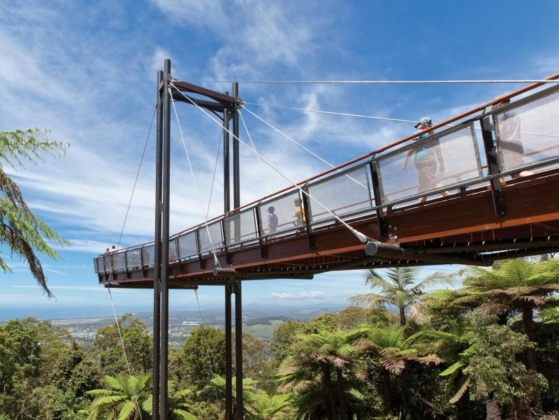 Elevated walkway through treetops with metal railings, blue sky, and ferns below.